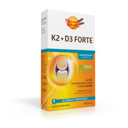 NATURAL WEALTH K2+D3 FORTE KAPSULE A40
