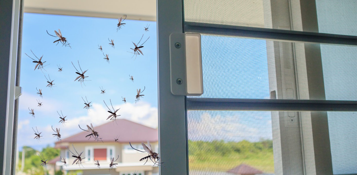 Ubodi komaraca - kako ih spriječiti i liječiti?